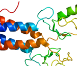 Who holds the patent for YOUR BRCA1?