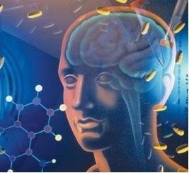 Thesis Chapters 2, 3, and 4 image